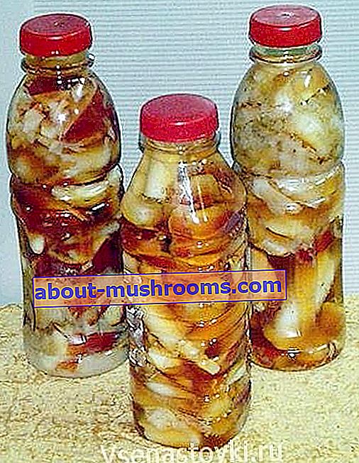 Fly agaric tincture
