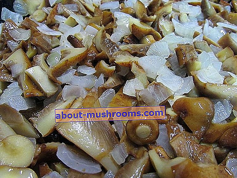 Fried mushrooms with onions