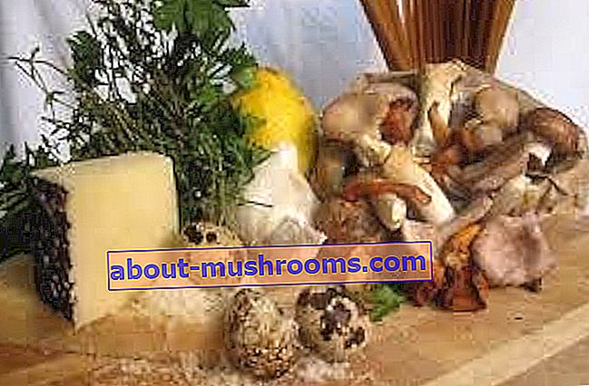mushroom diet
