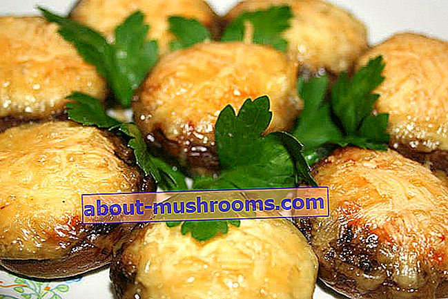 Champignons baked with cheese