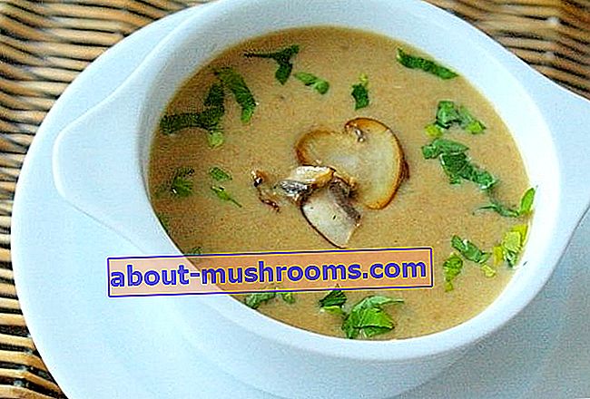 Mushroom cream soup for multicooker