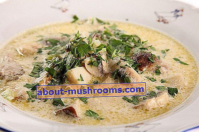 Italian mushroom soup